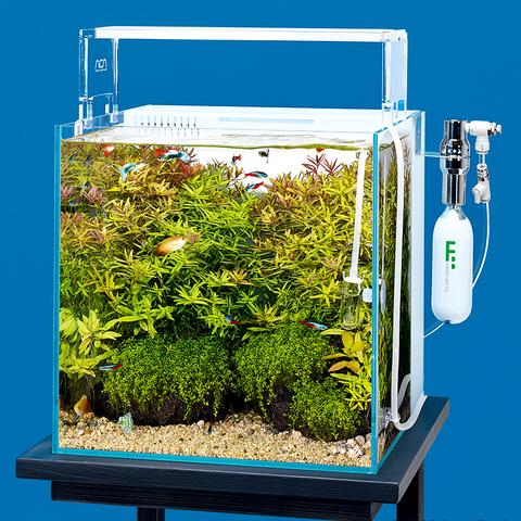 DOOA System Aqua 30